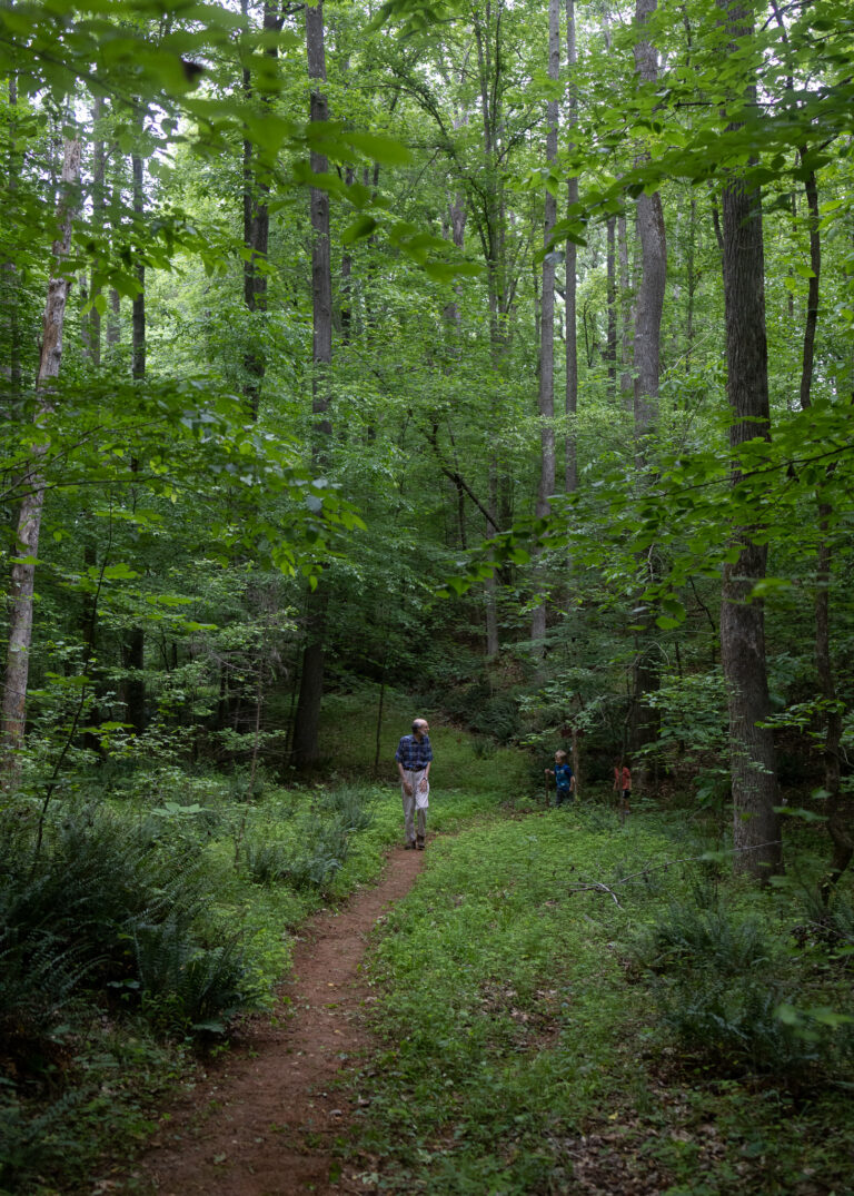 Artistic Cane Creek Mountains Natural Area - Pine Hill Trailhead Artwork for Mobile Artistic Cane Creek Mountains Natural Area - Pine Hill Trailhead Artwork for Mobile