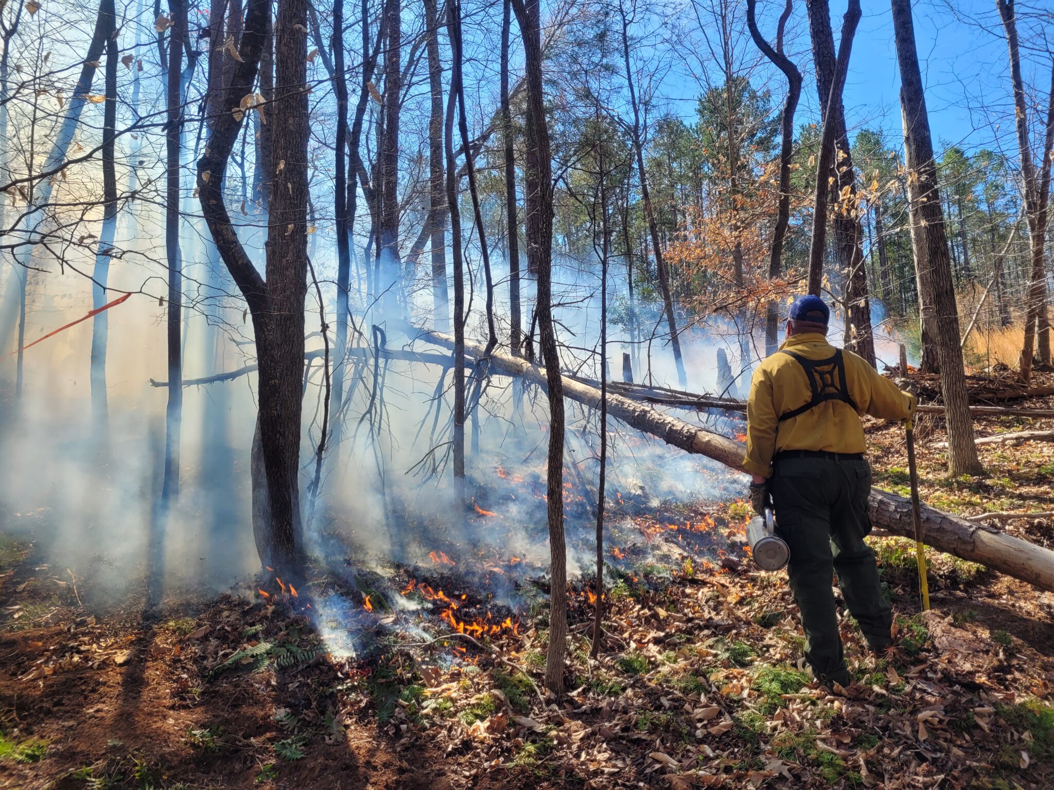 Restoration through Fire | Piedmont Land Conservancy