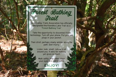 20201001_28_Forest Bathing