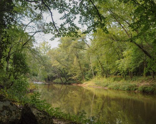 Big Elkin Creek, Surry County [Yadkin-Pee Dee River Basin]