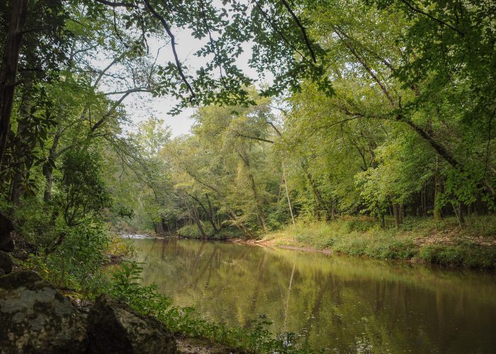 Big Elkin Creek, Surry County [Yadkin-Pee Dee River Basin]