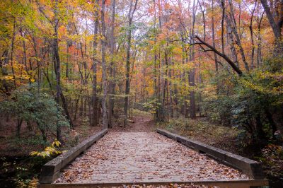 Grassy Creek trail to dam fall bridge H
