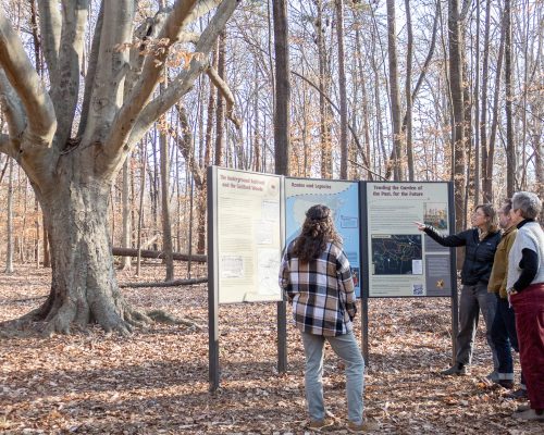 Guilford Woods_Winter_sign