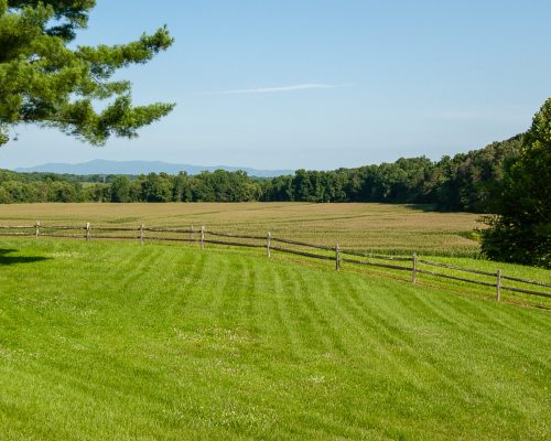 Hollyview Farm_Image by Hobart Jones