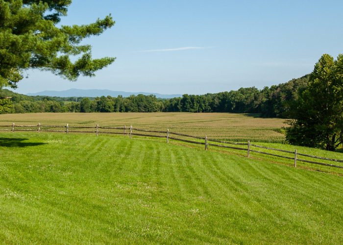 Hollyview Farm_Image by Hobart Jones