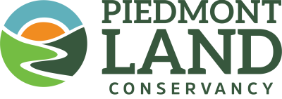 Logo_Horizontal_color